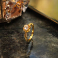 Anillo Ester