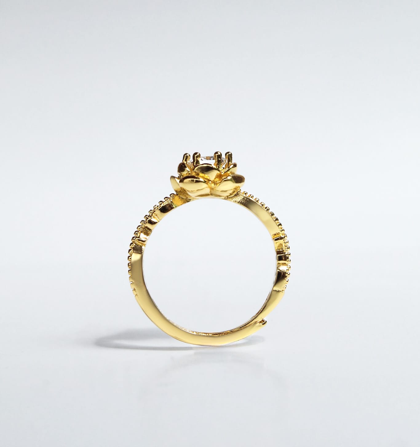 Anillo Ester