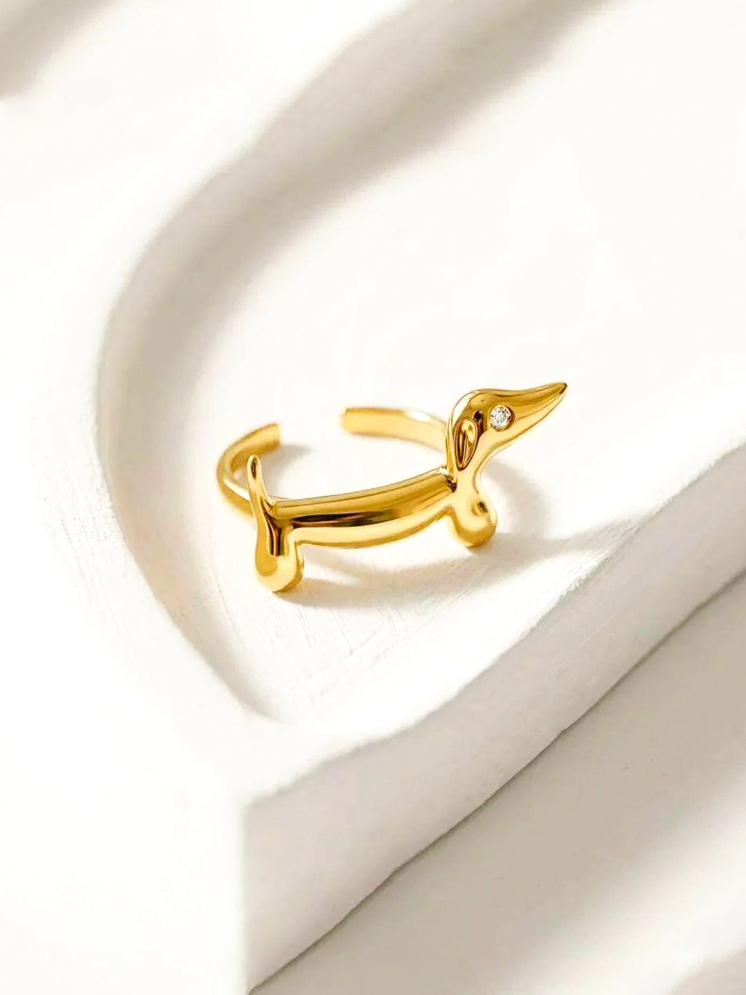 Anillo Pipo
